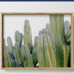 things I like: colorful kitchenware | Finding Beautiful Truth