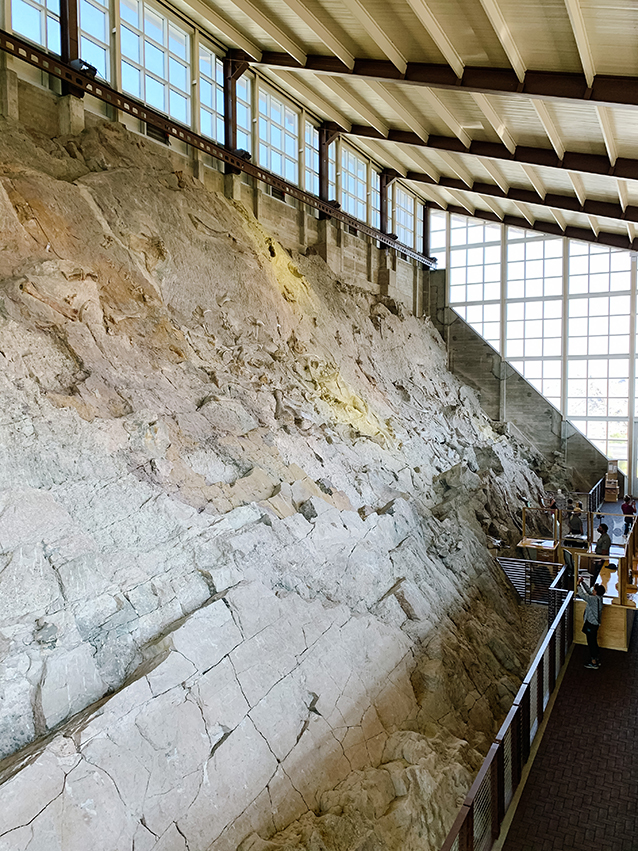 Quarry Exhibit Hall in Dinosaur National Park | Finding Beautiful Truth