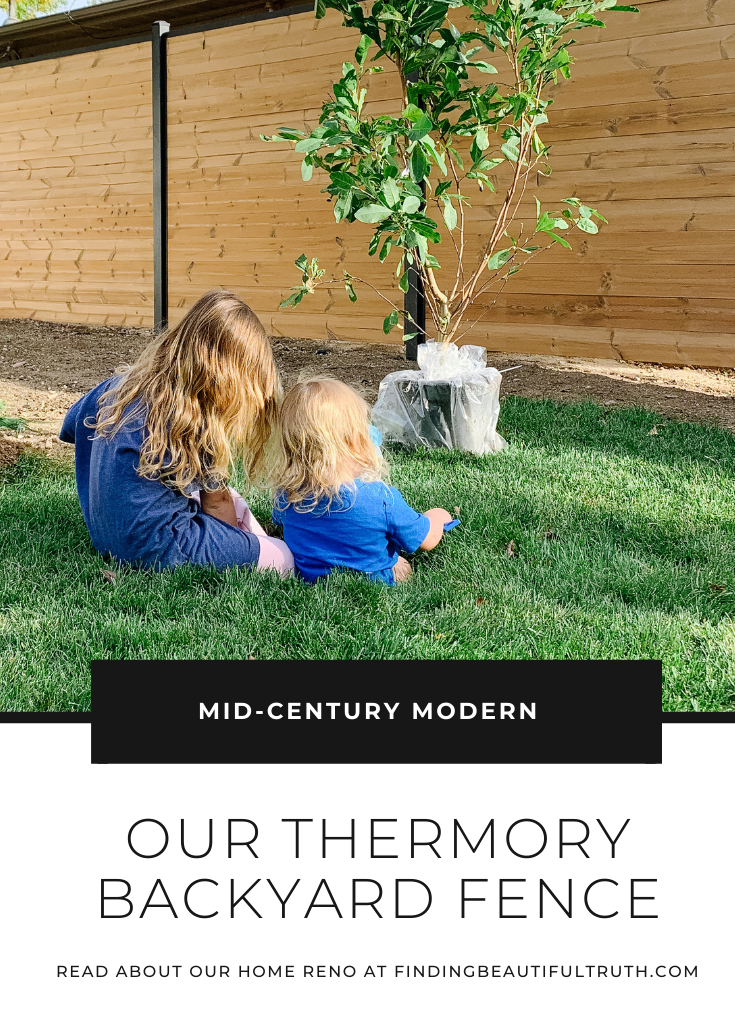 Home Reno: Choosing Thermory for Our Yard
