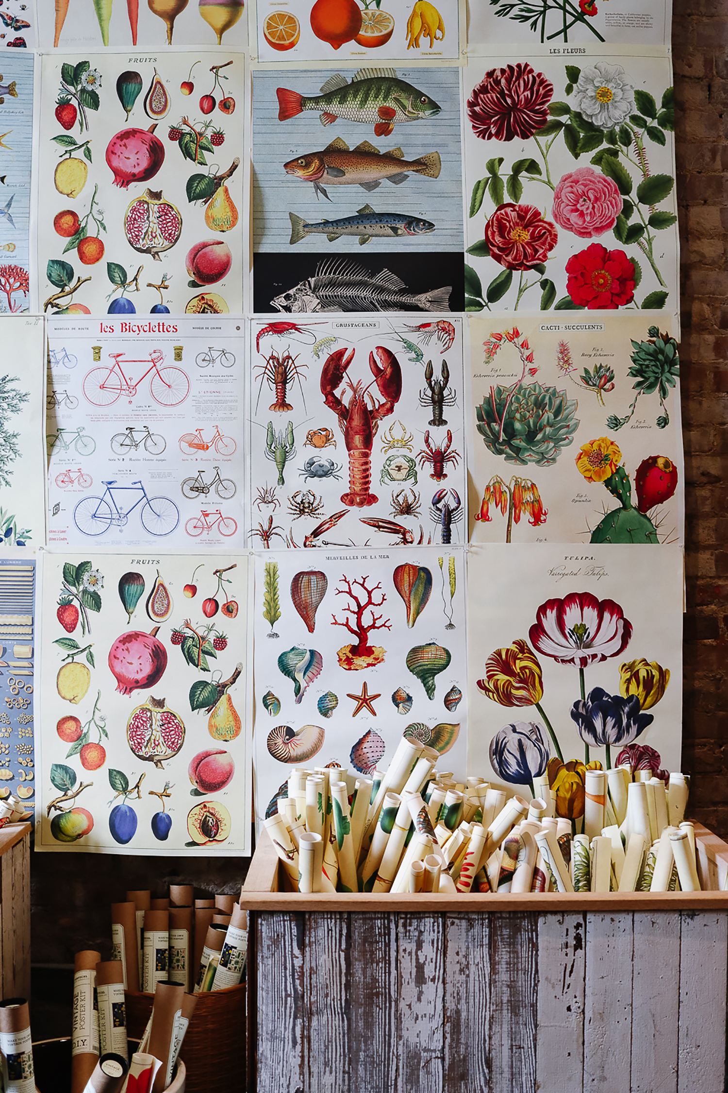 Erin + Ben's Store from Home Town | Finding Beautiful Truth