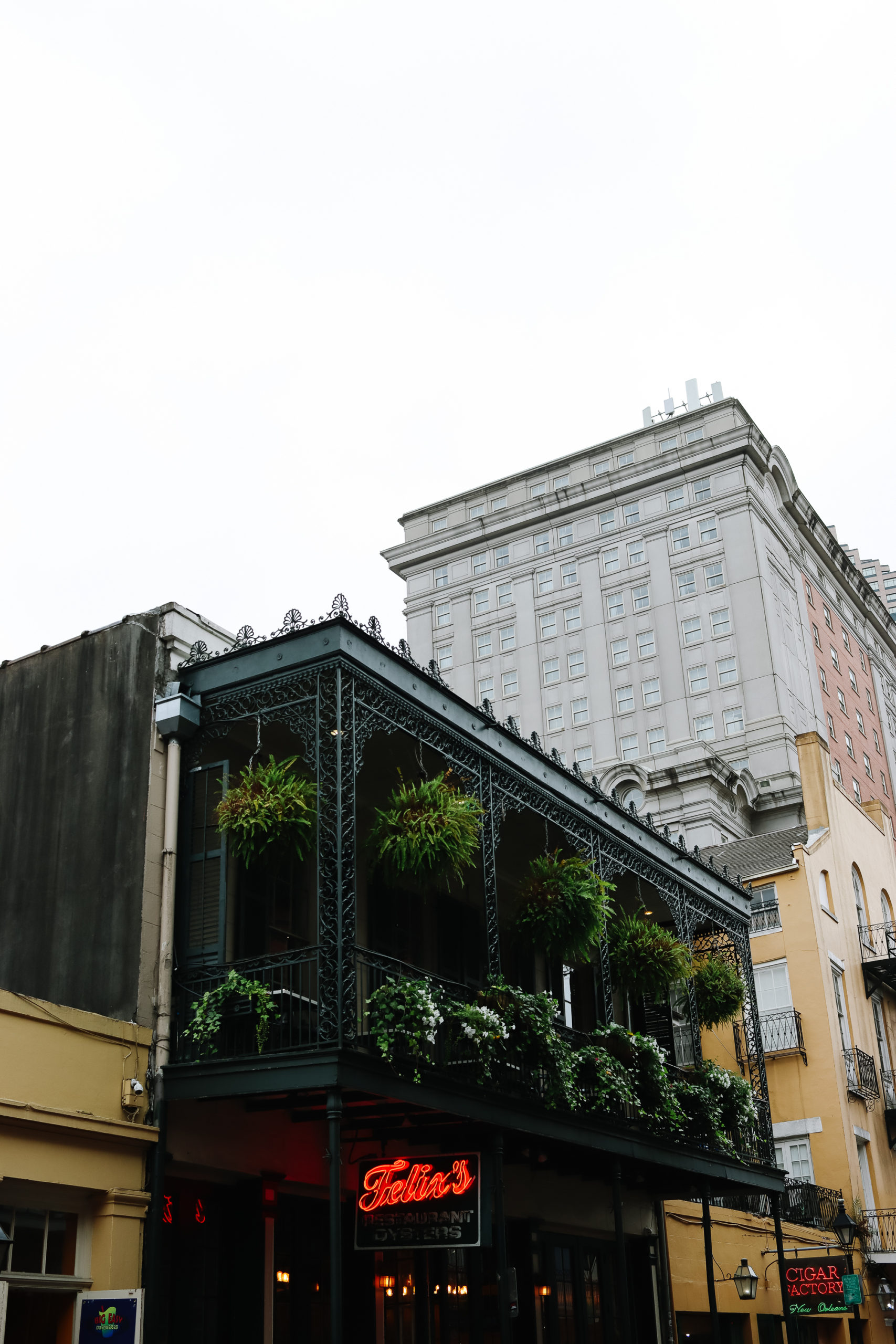 Unexpected Reasons to Visit New Orleans | Finding Beautiful Truth