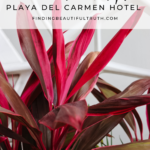 Mexico Travel Tips | Finding Beautiful Truth