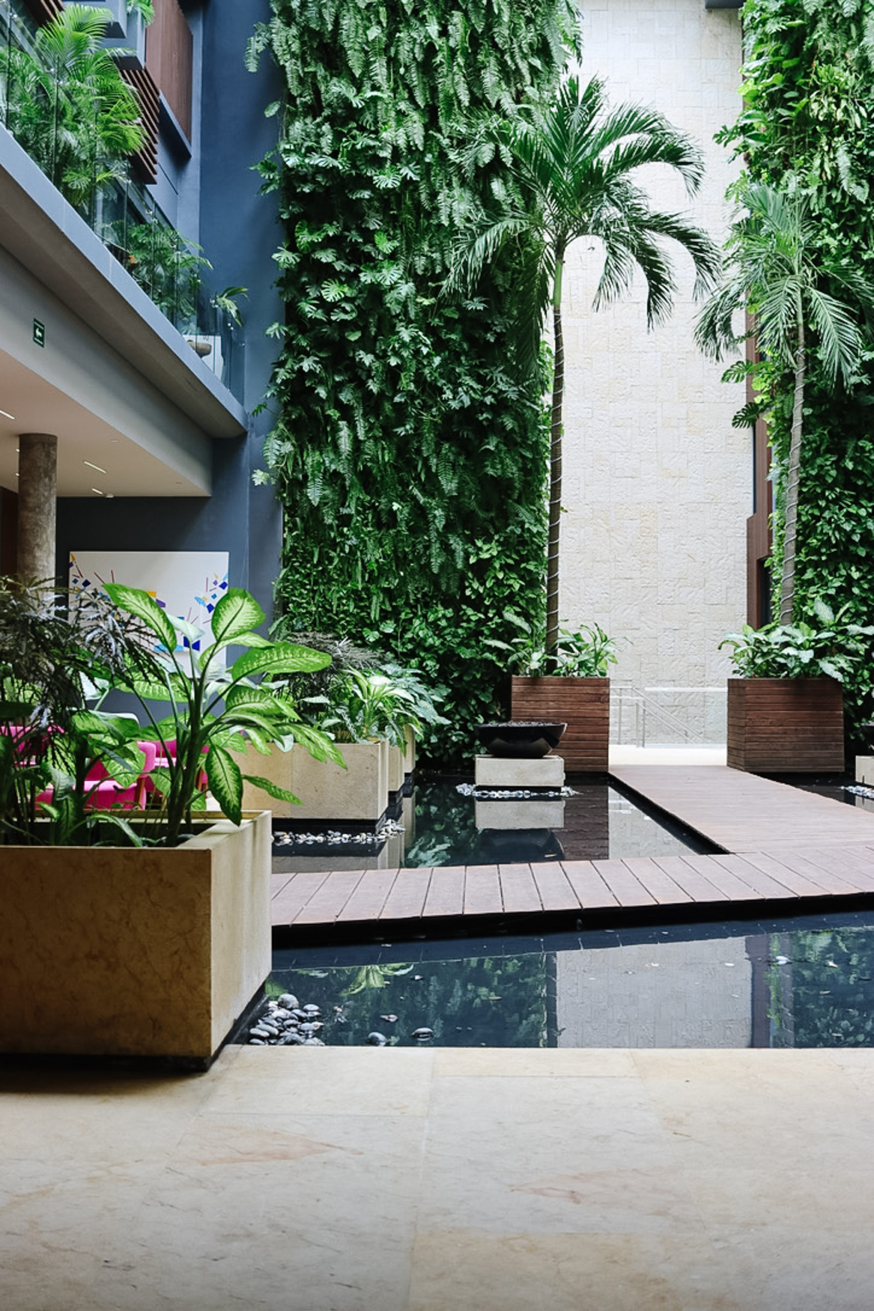 Playa del Carmen Hotel + Mexico Travel Tips