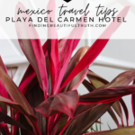 Mexico Travel Tips | Finding Beautiful Truth