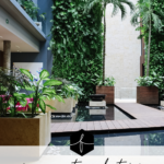 Mexico Travel Tips | Finding Beautiful Truth