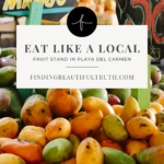 playa del carmen travel tips for your next vacation