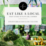 playa del carmen travel tips for your next vacation