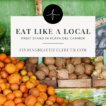 playa del carmen travel tips for your next vacation