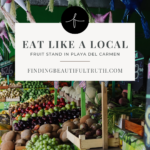 playa del carmen travel tips for your next vacation