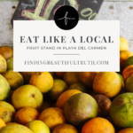 playa del carmen travel tips for your next vacation