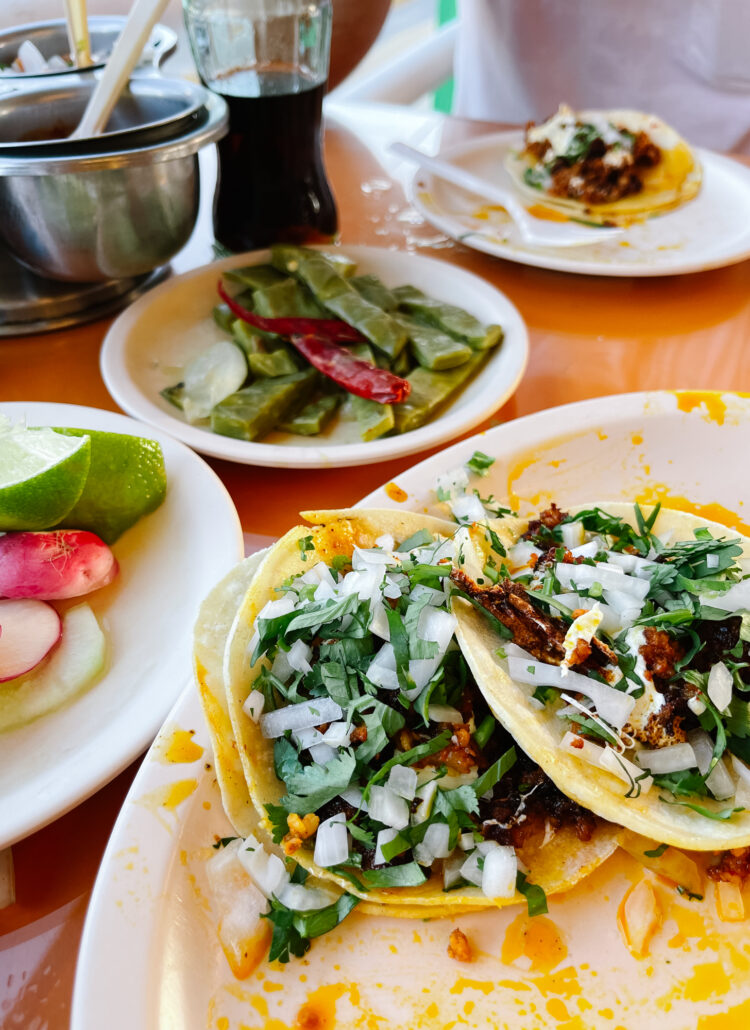 Mexico travel tips | eat like a local