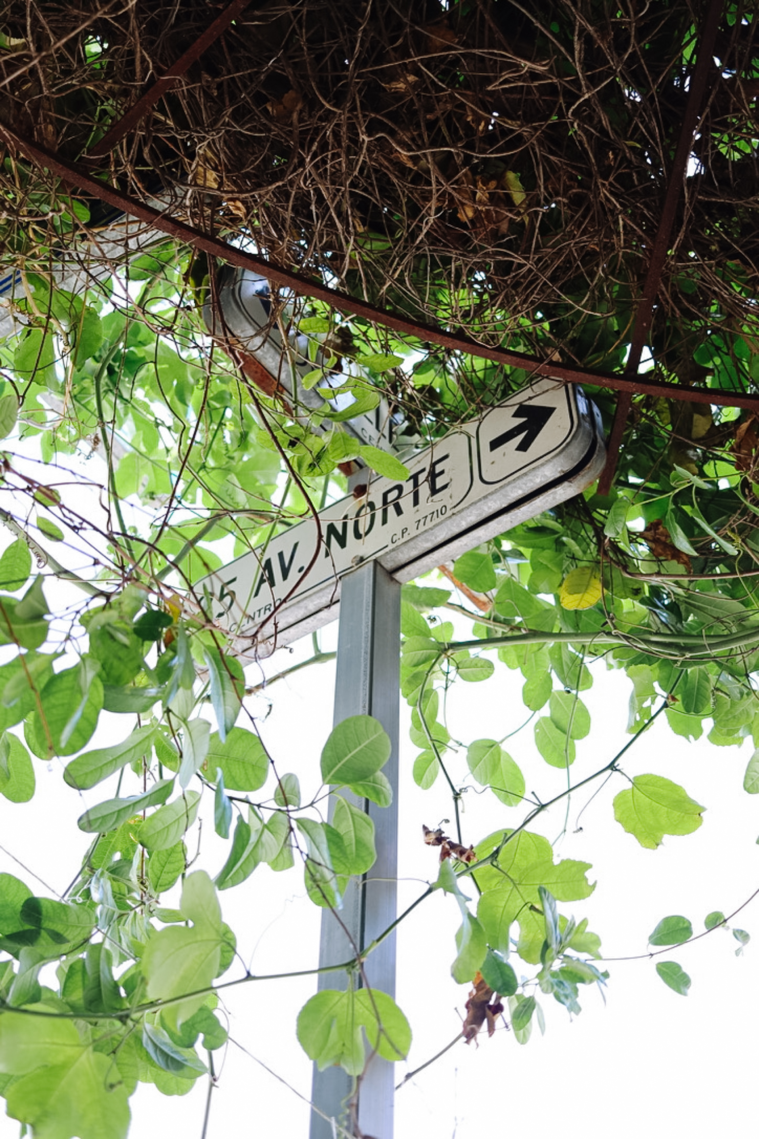 Mexico Travel Tips: Where to Eat + What to Do