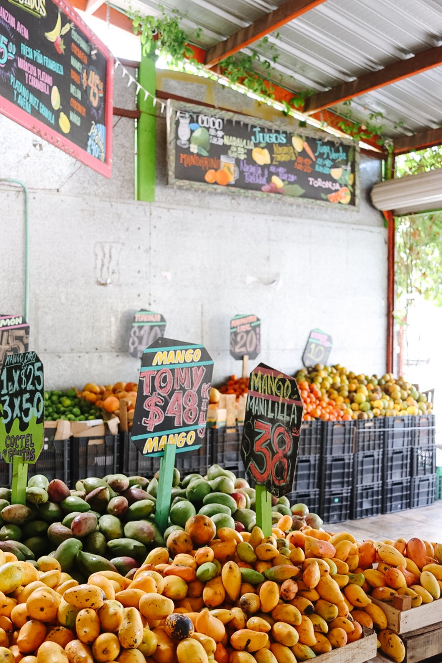 eat like a local: fruit stand in playa del carmen