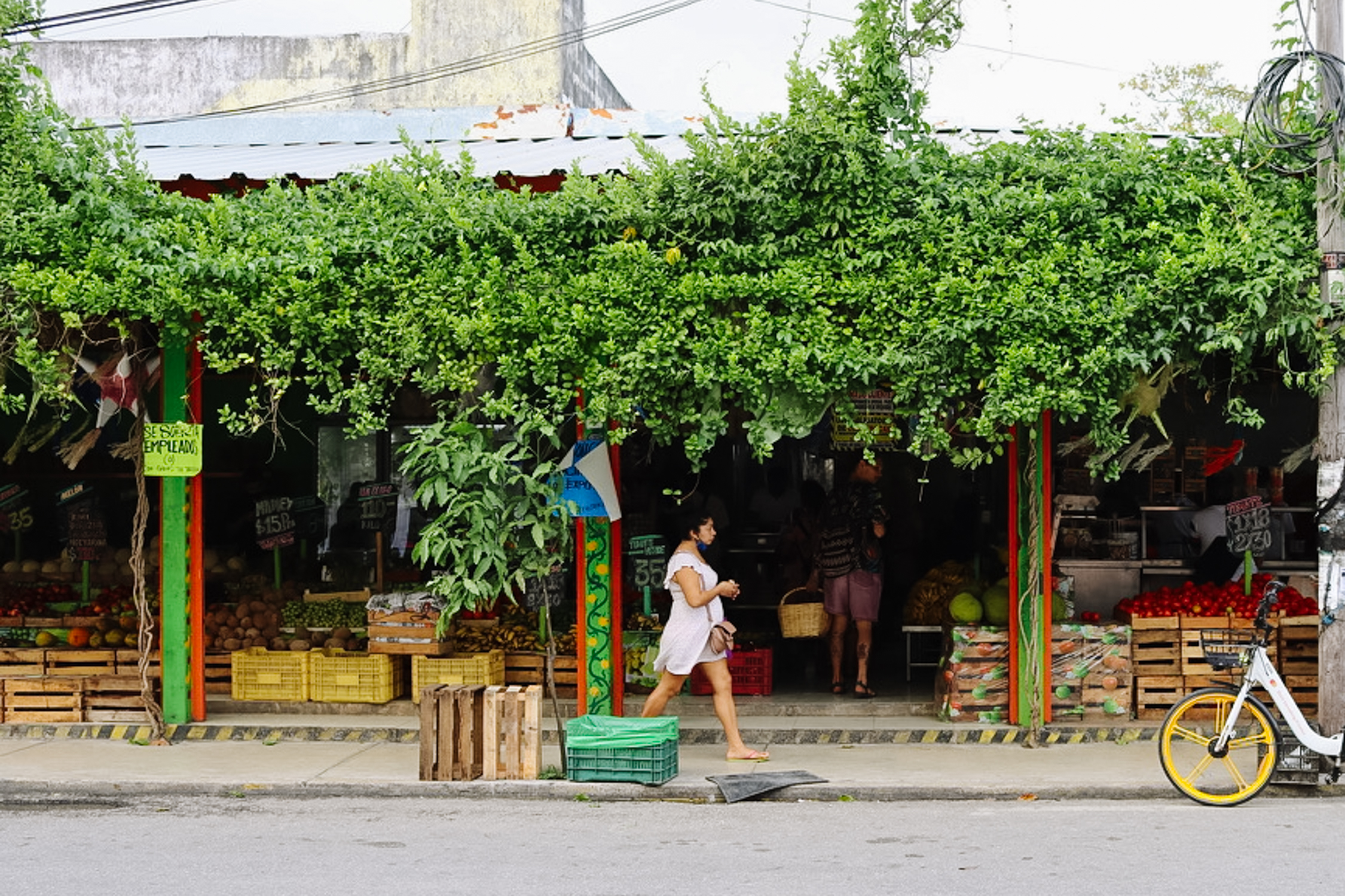 Mexico Travel Tips: Where to Eat + What to Do