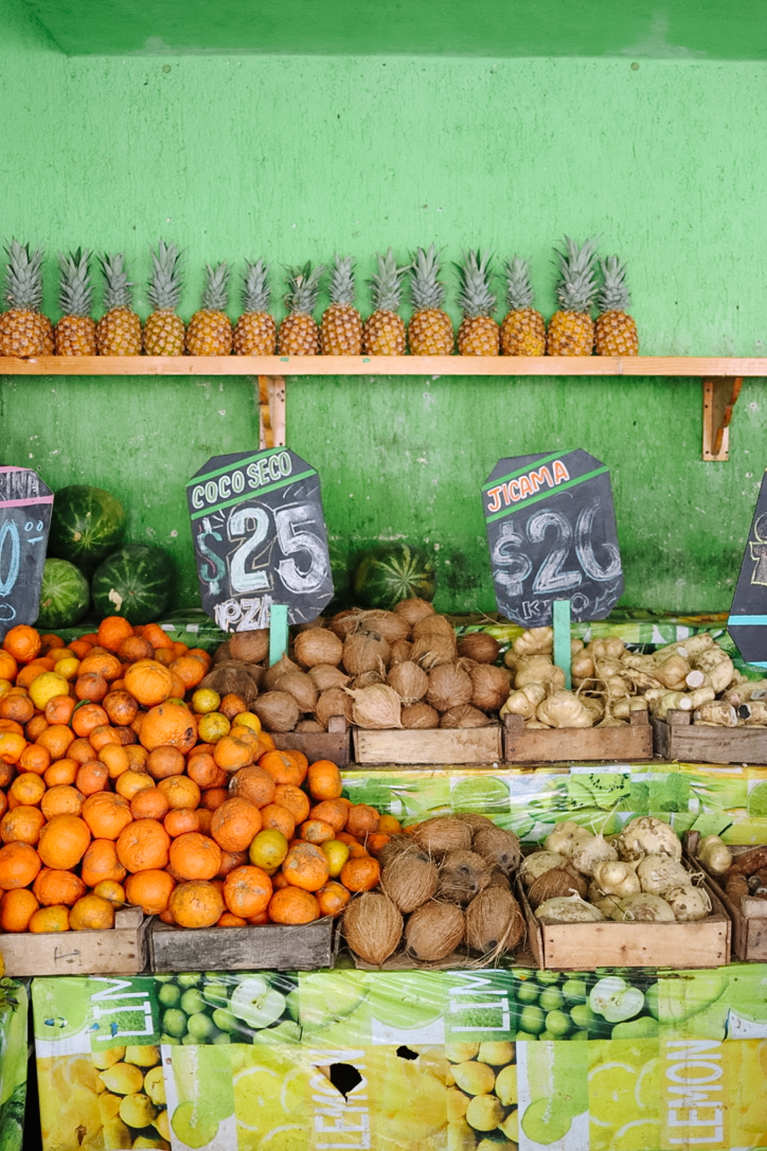 playa del carmen travel tips for your next vacation