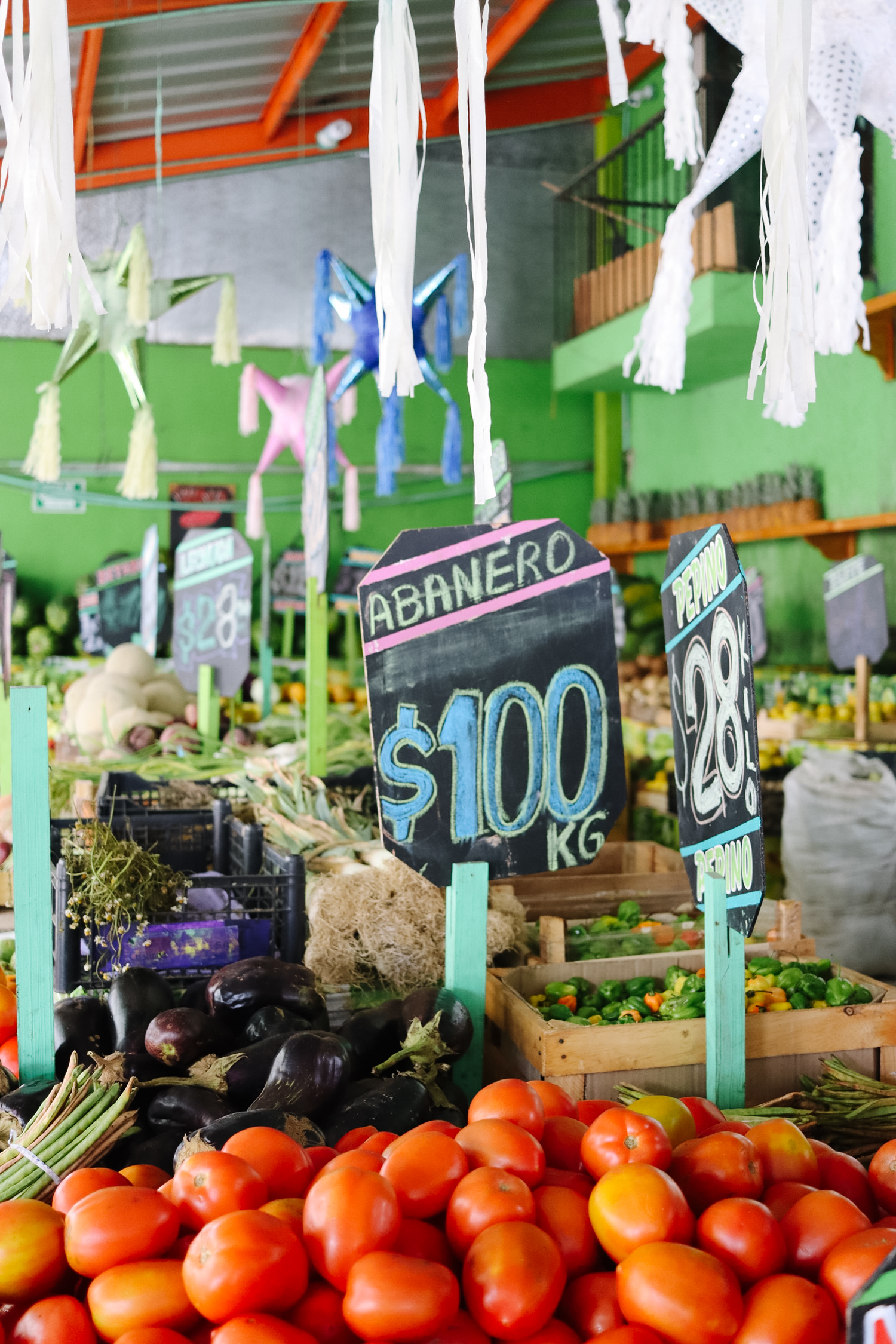 Mexico Travel Tips: Where to Eat + What to Do